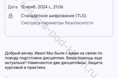 screenshot_20241112_213812-kopiya